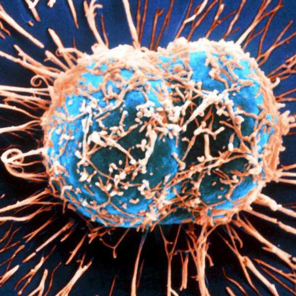 The Thing We All Hate