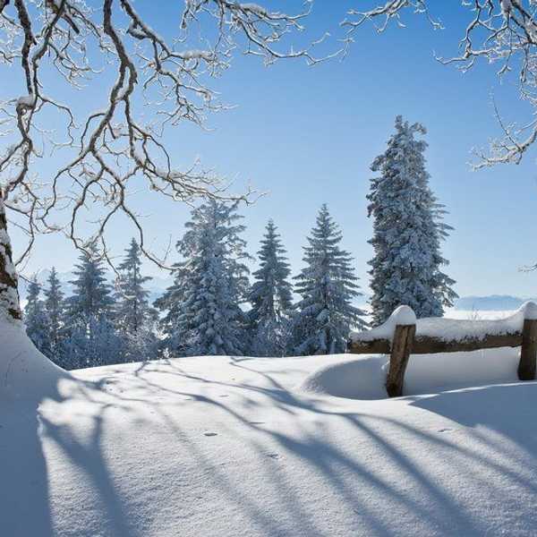 Winter Break Bucketlist 2017