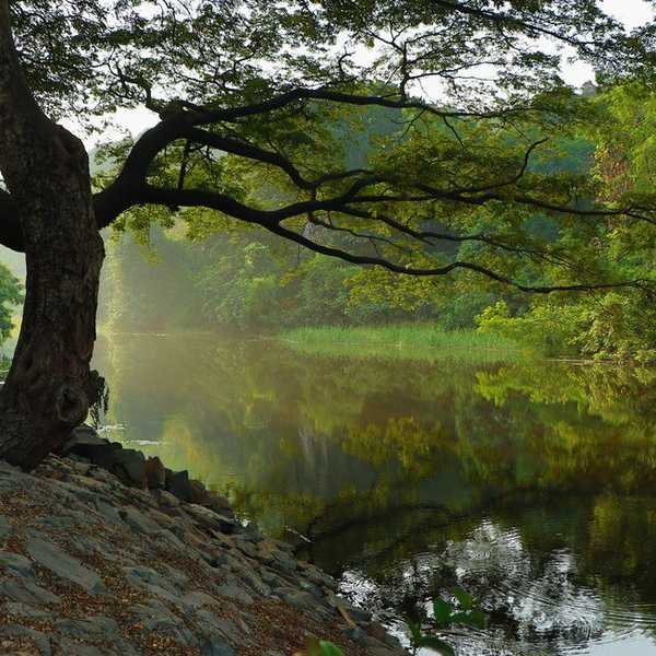 Short Story: By The Pond