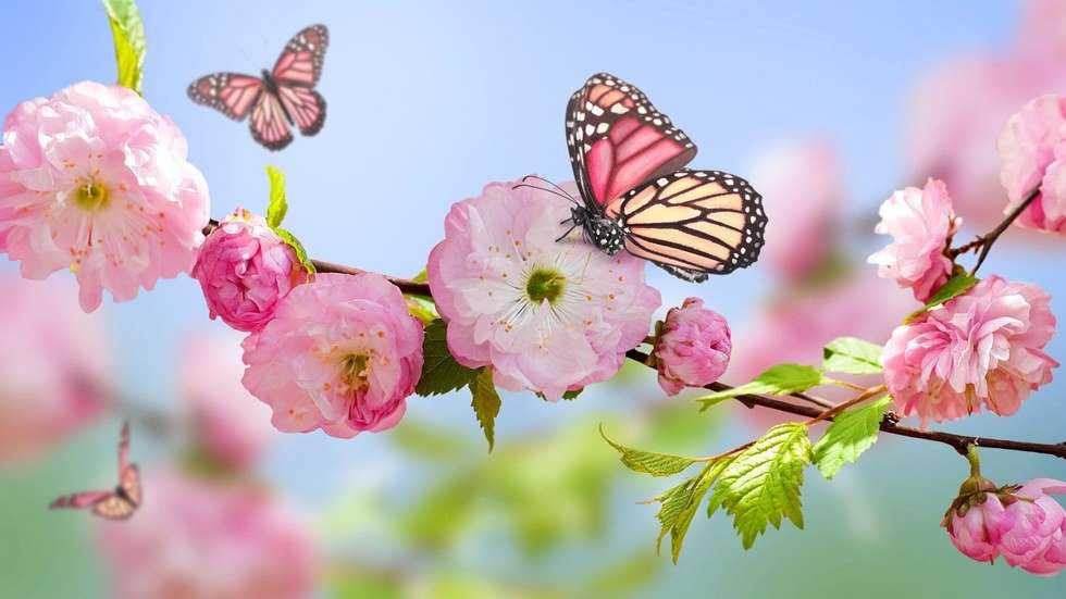 A Letter to My Spring Semester Self | The Odyssey Online