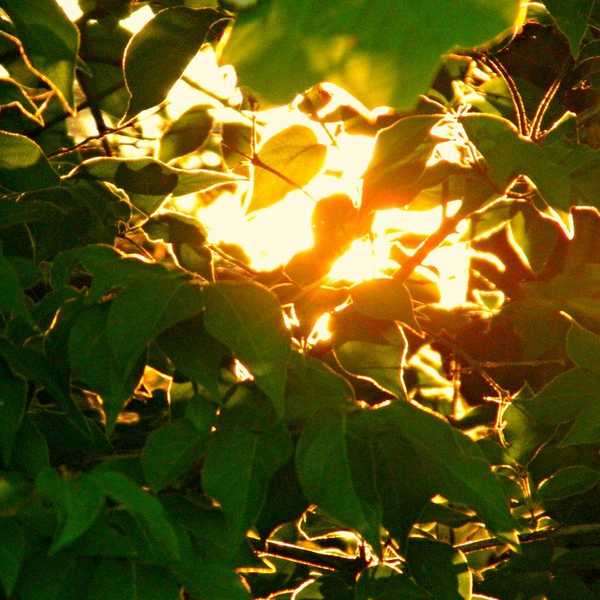 When You Let Go, Your Faith Is Planted