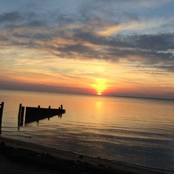 A Freshman's Goodbye To 2016