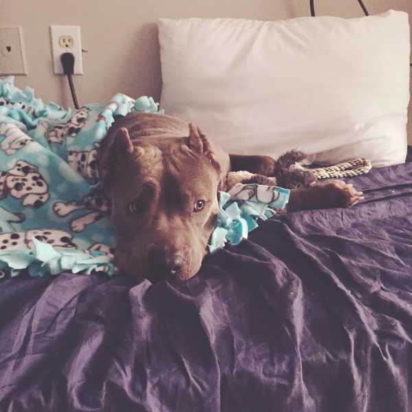 A Rescue story--Second Chance at love