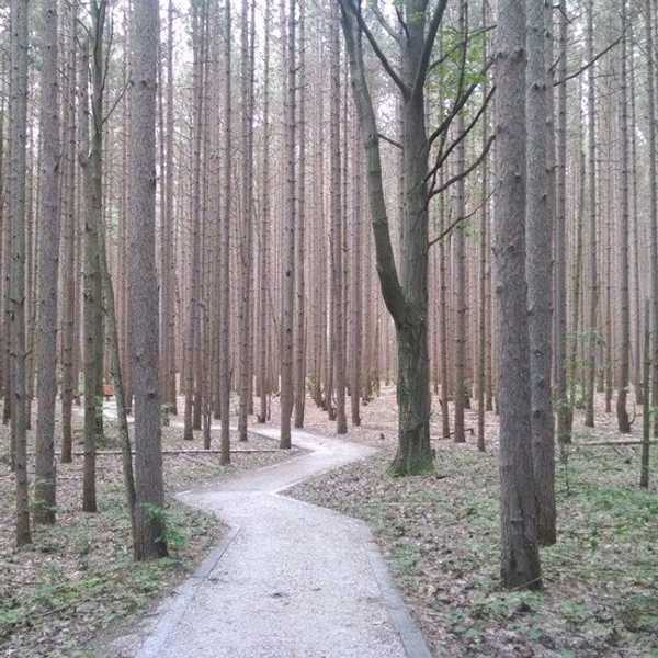 The 17 Best Parts About Being Home For The Holidays