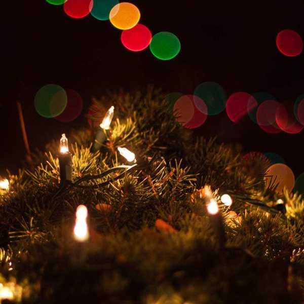 The Magic of Christmas