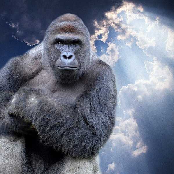 22 Of The Best Memes From 2016
