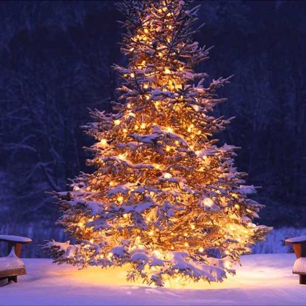 How Christmas Tends To Go According To College Students