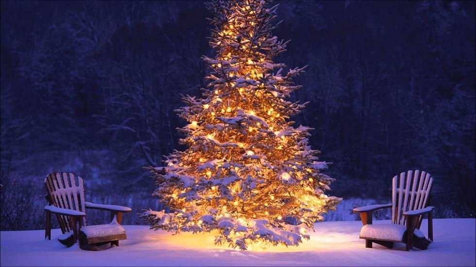 How Christmas Tends To Go According To College Students