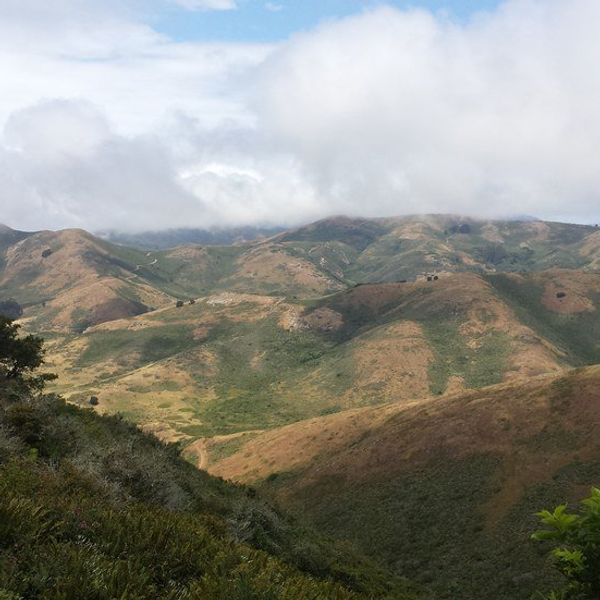 Why I Started Writing Again