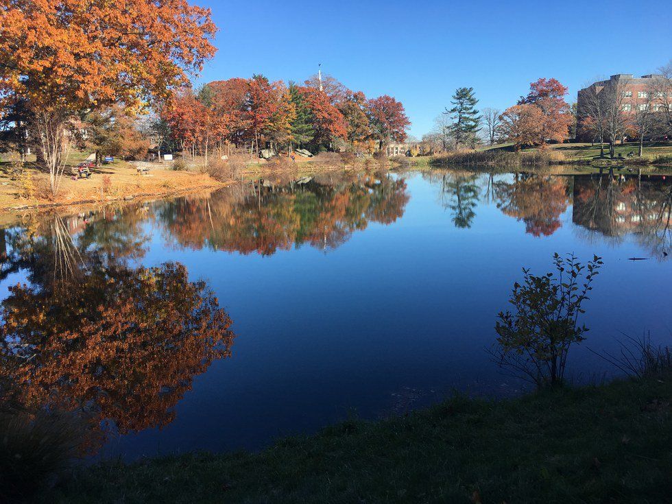 4 Reasons To Give Your School Another Chance