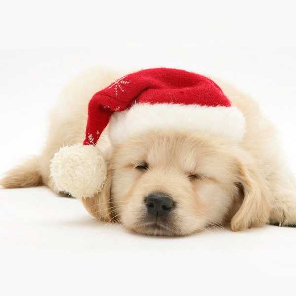 That's Right, I'm Fed up with Holidays