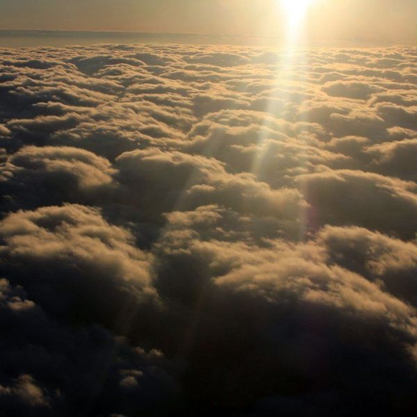 30 Good Things That Happened in 2016