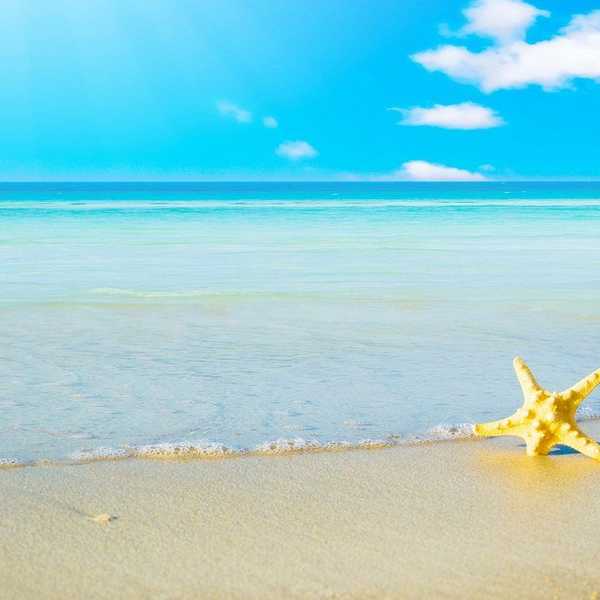 Wishing for Warm