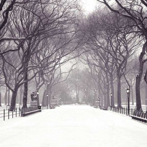 Survival Guide To Winter
