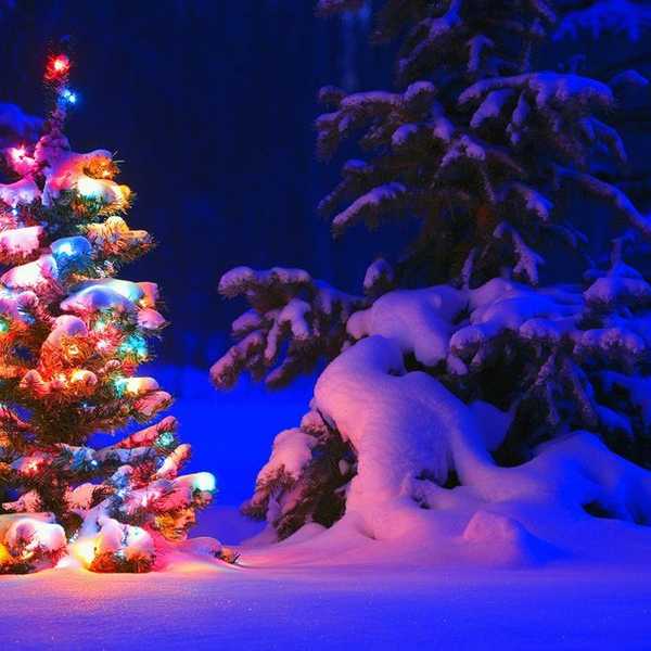 5 Things That Excite People Who Love The Christmas Season