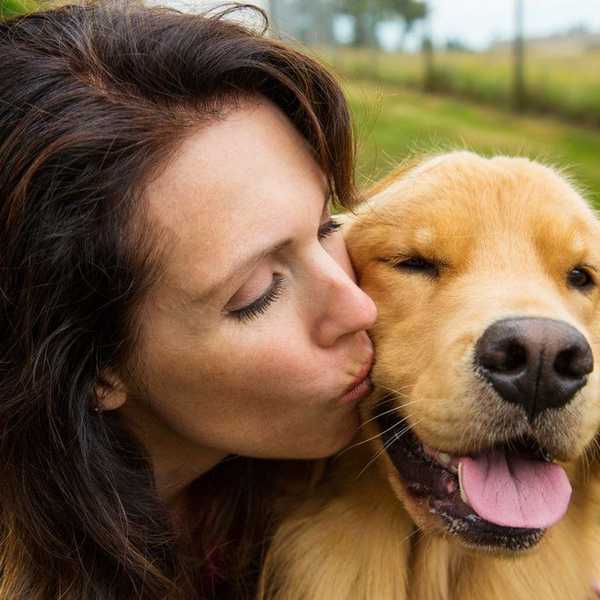 Dogs Are Our Friends Too