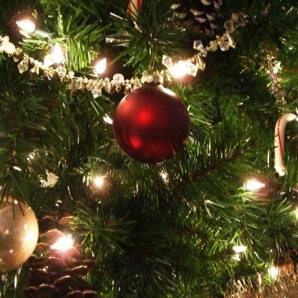 Top 10 Things To Do In Cincinnati During Christmas Time