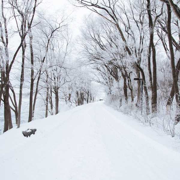 How to Make Your Winter Break Worthwhile