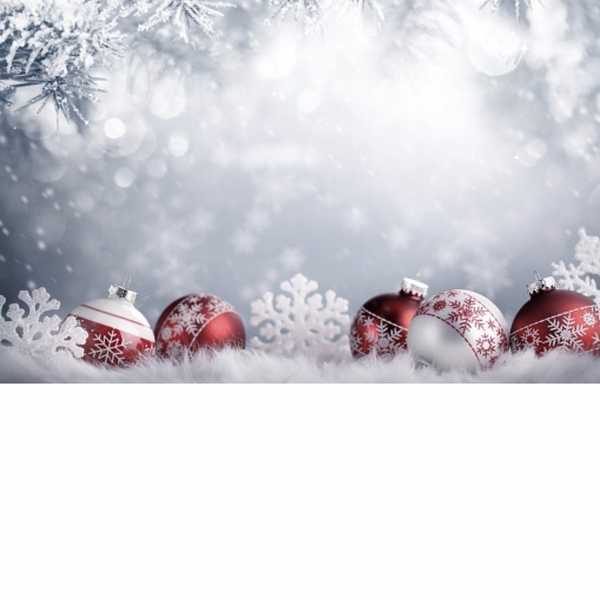 Why Everyone Loves Christmas