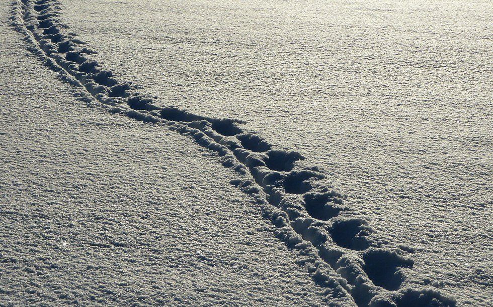 To The Person Struggling This Holiday Season