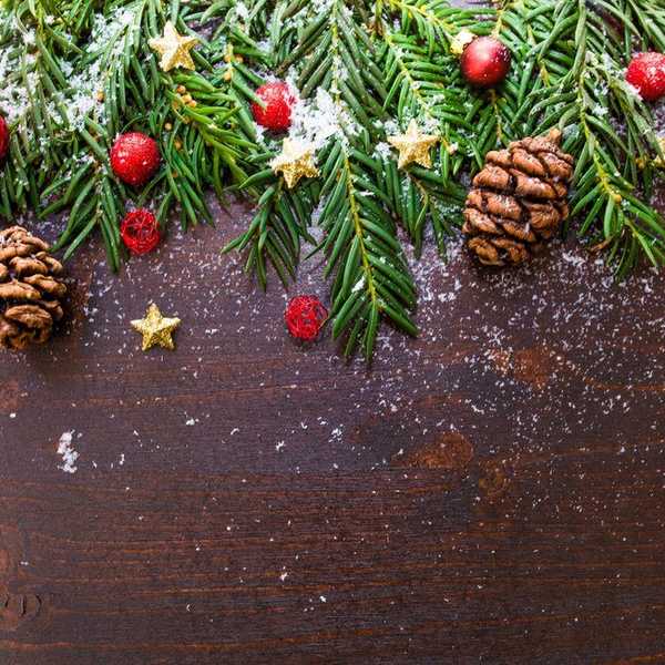 What Made Christmas 2016 So Memorable