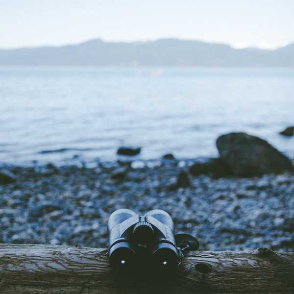 What You See Is What You Choose To Look For