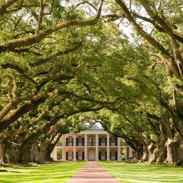 6 Tell Tale Signs Of The South