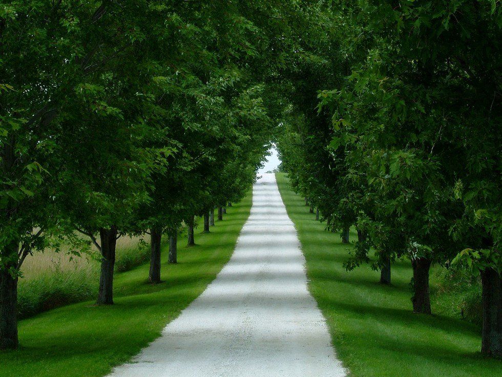 You Beckoned From A Dream, I Followed