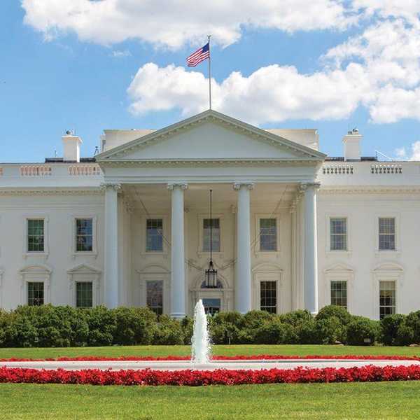 The Tourist's Guide to Washington D.C.