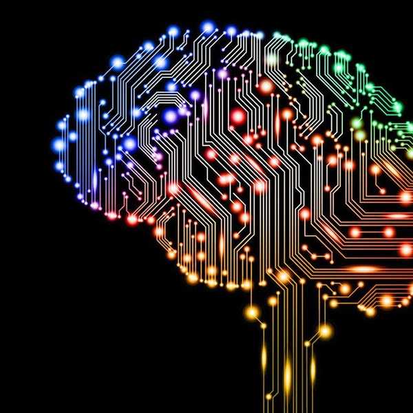Is It Better To Be Smart Or Dumb?