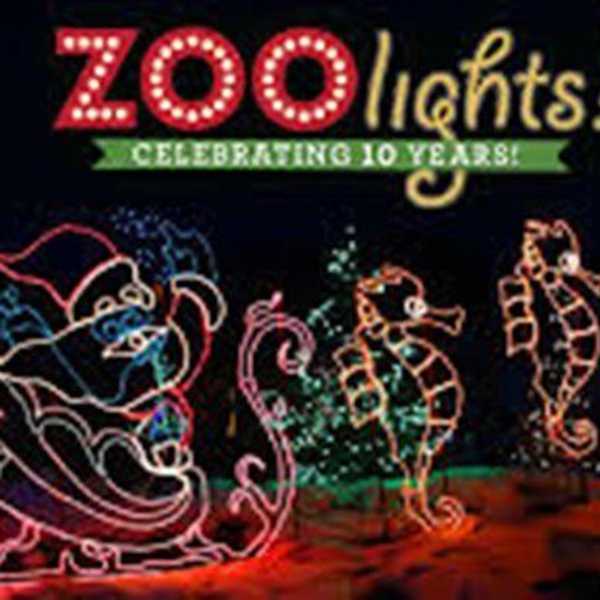 Things To Do Over Winter Break