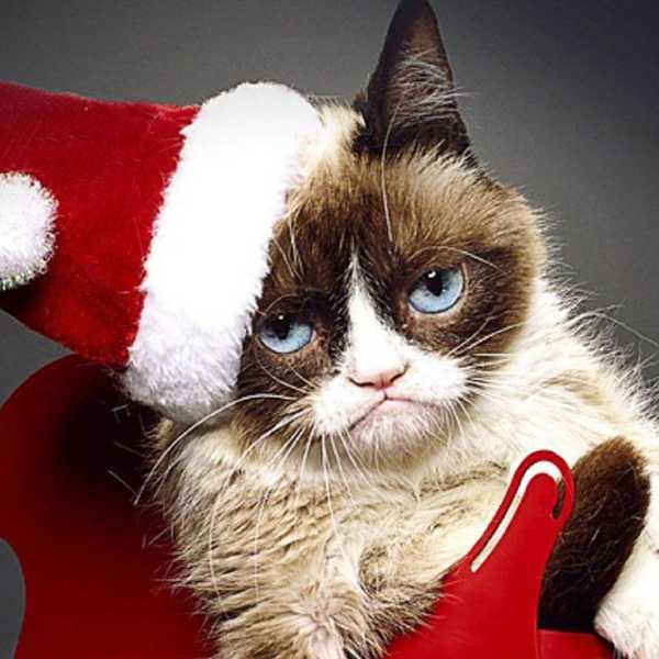 11 Songs to Put the Christmas Spirit in You