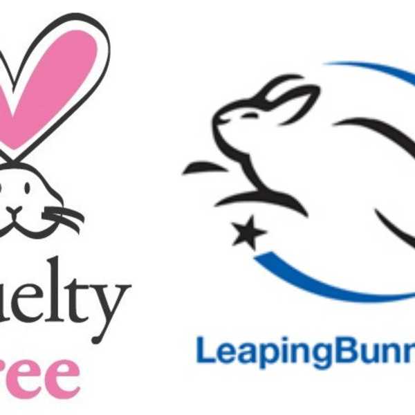 Reasons To Stay Cute and Cruelty-Free