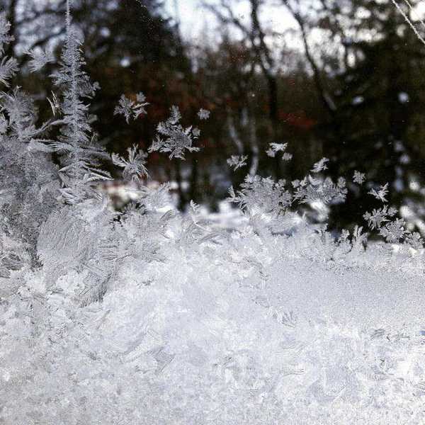 A Year Of Learning And Adapting