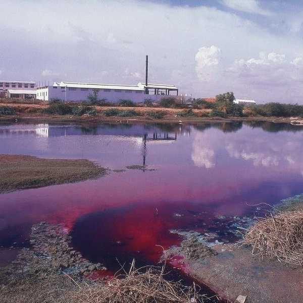 Does The Price Justify The Destruction?