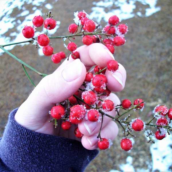 6 Creative Ways To Keep The Most Common New Year's Resolutions