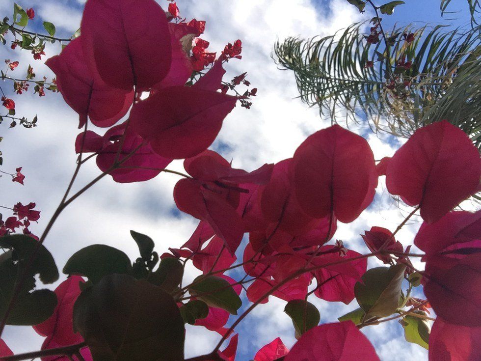 What You Did That Made Me Appreciate You More