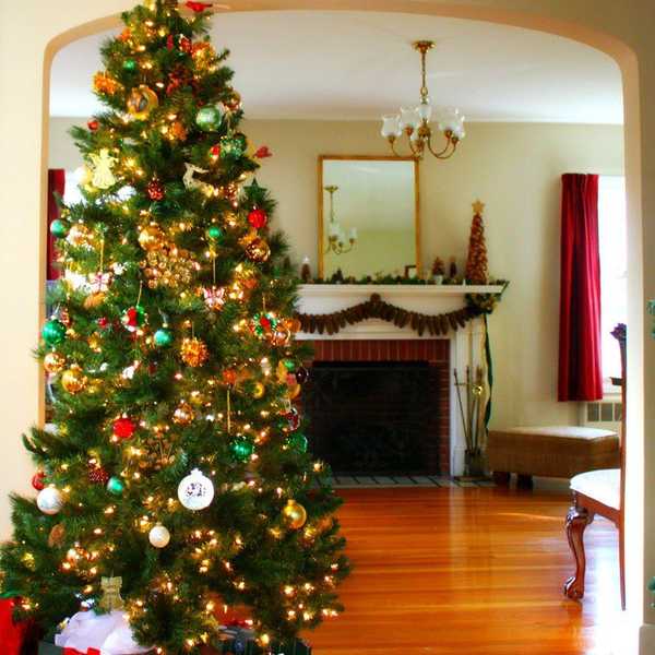 Coming Home For The Holidays