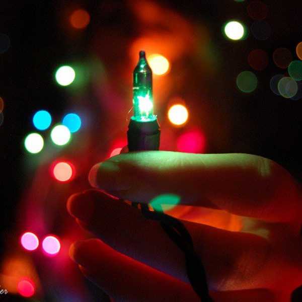 Holiday Cheer and Humbug