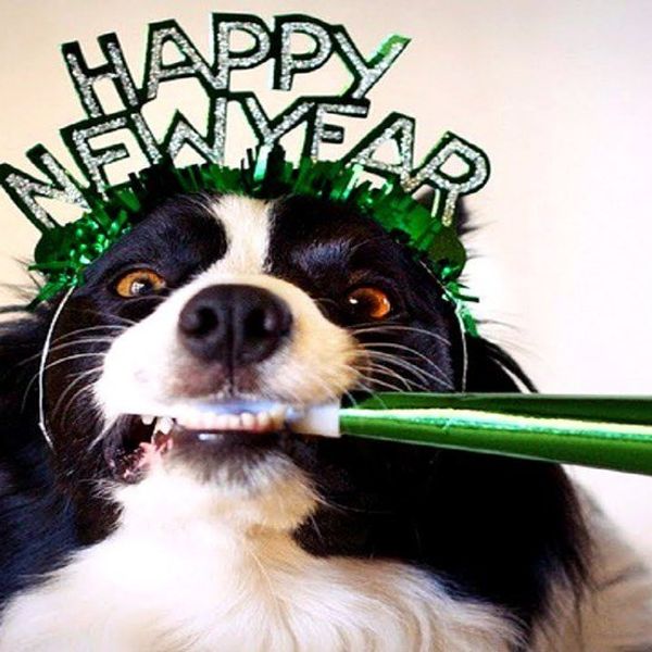 Honest New Year Resolutions