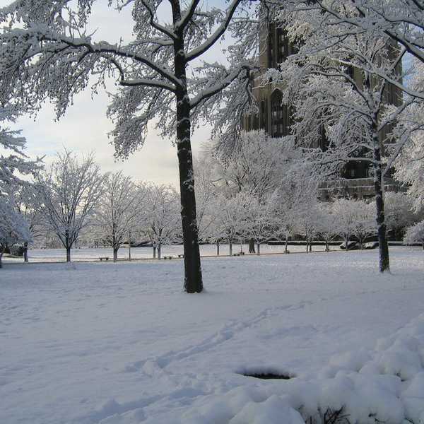 What People In the South Don't Understand About Winter