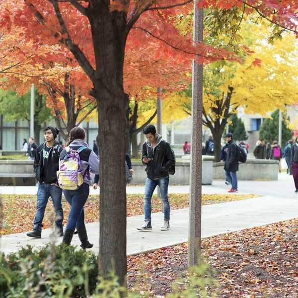 Truths About College