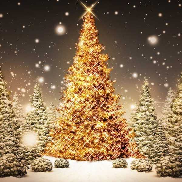 10 Things I Love About The Holidays