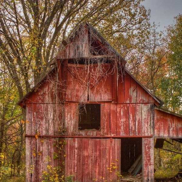 My Small Town Is Enough