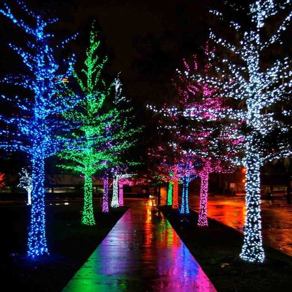 My First Christmas Alone