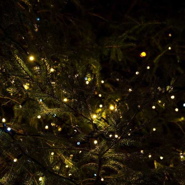 6 Things College Students Are Doing This Winter Break