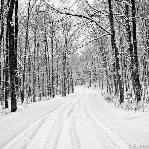 The Shadow of your Smile