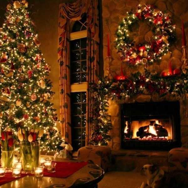 8 Reasons Everyone Should Love Christmas