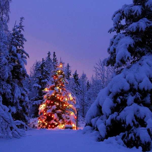 The Glory of Hope in Christmas