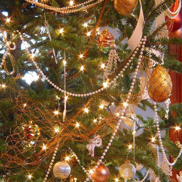 The Reason for the Season